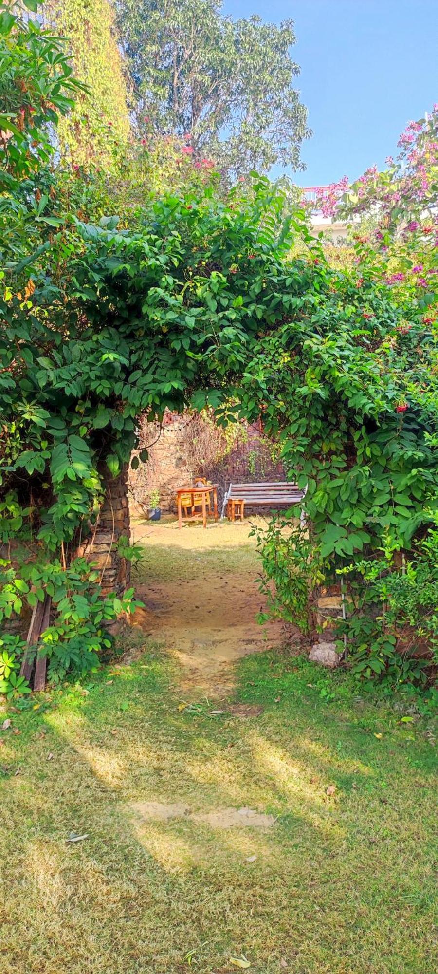 プシュカル The Secret Garden Bed & Breakfast エクステリア 写真