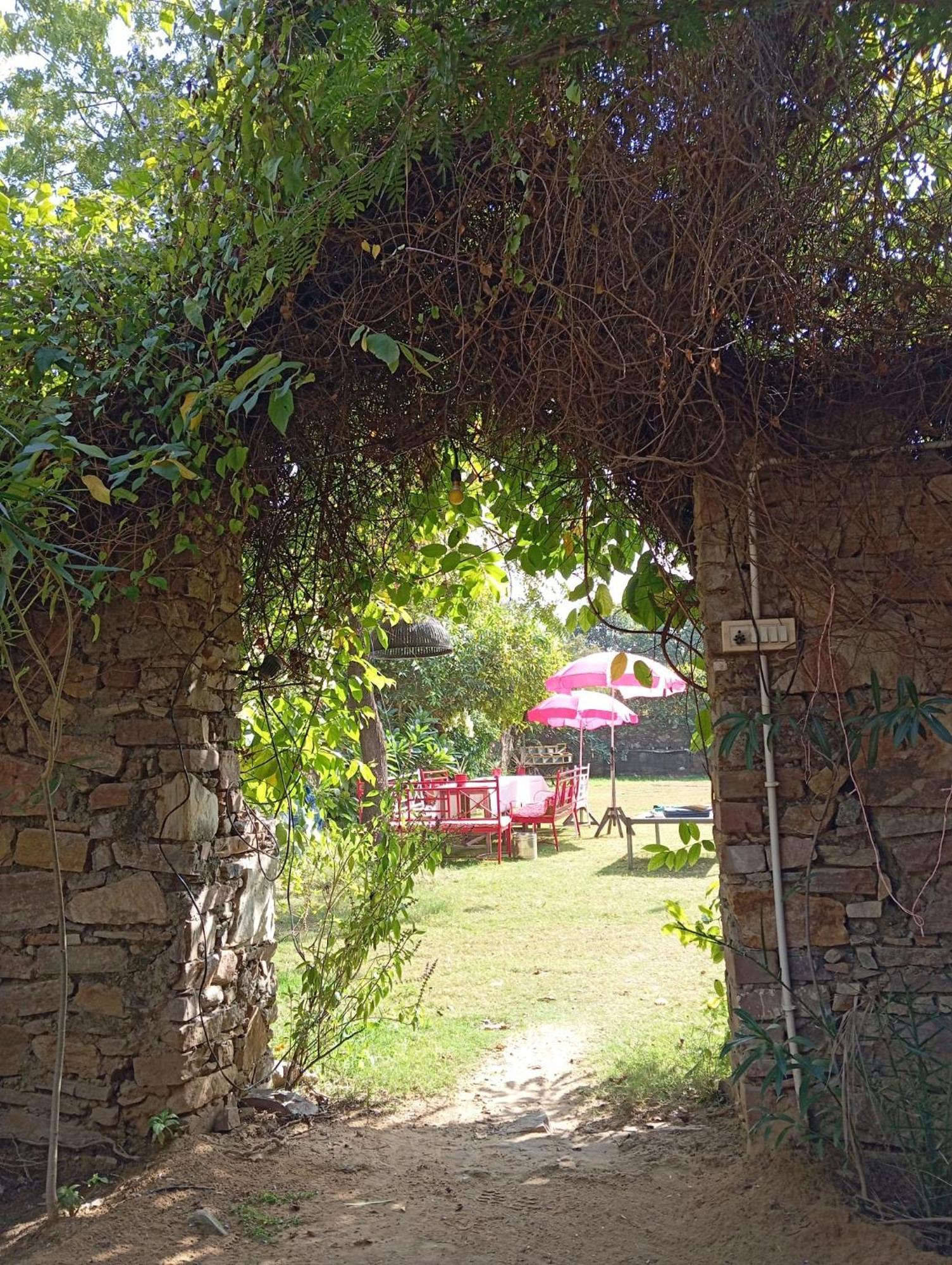 プシュカル The Secret Garden Bed & Breakfast エクステリア 写真