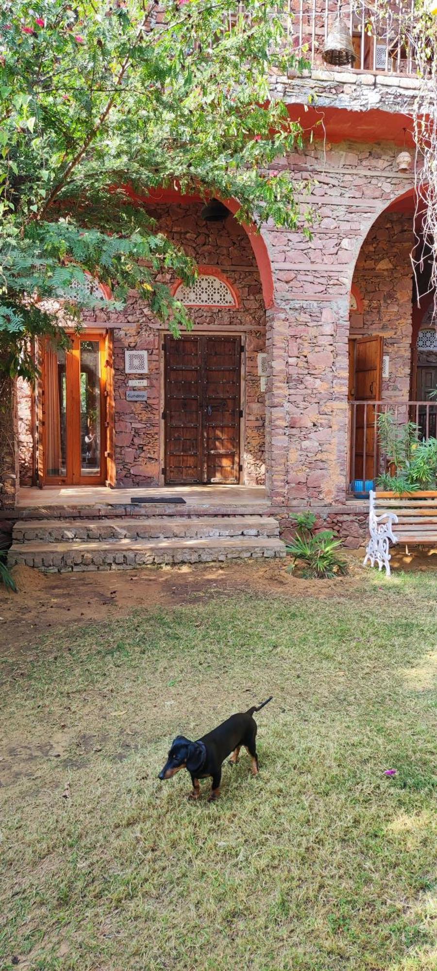 プシュカル The Secret Garden Bed & Breakfast エクステリア 写真