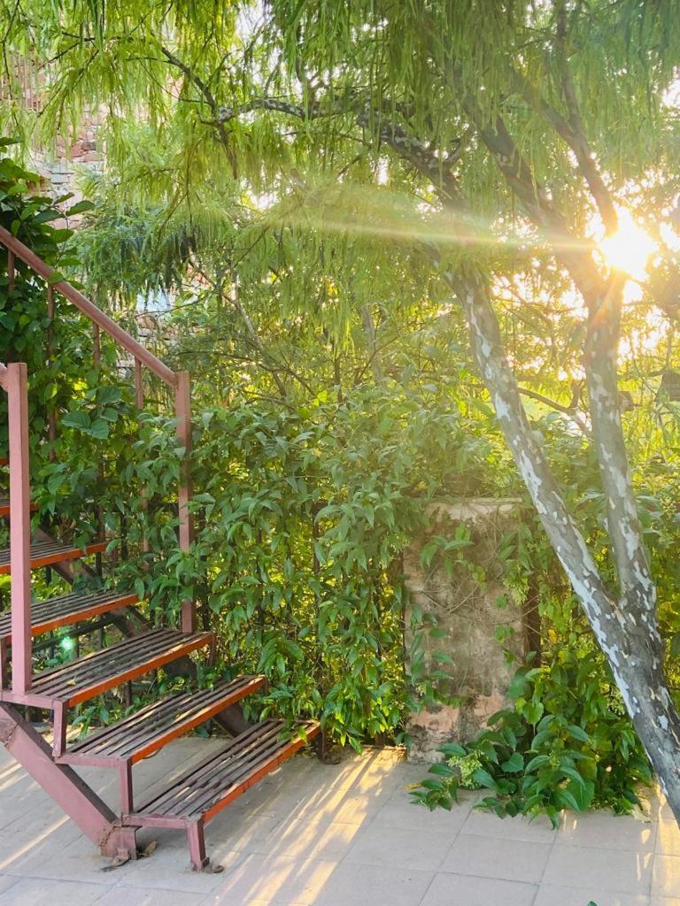 プシュカル The Secret Garden Bed & Breakfast エクステリア 写真