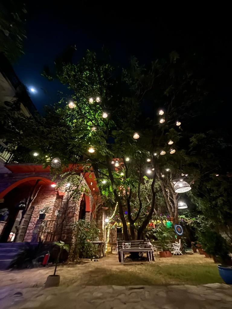 プシュカル The Secret Garden Bed & Breakfast エクステリア 写真