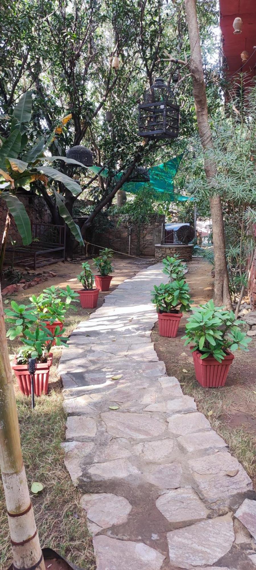 プシュカル The Secret Garden Bed & Breakfast エクステリア 写真